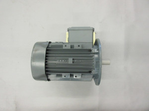 Motor Elmot - Schäfer  Typ TE02E FA SOL2D-40 H   NEU   für Cecumat